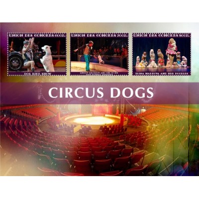 Цирковые собаки